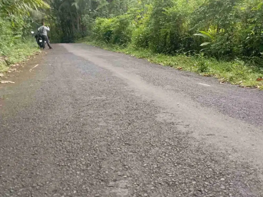 Tanah Super Murah di Kalibawang, Kulon progo , Yogyakarta