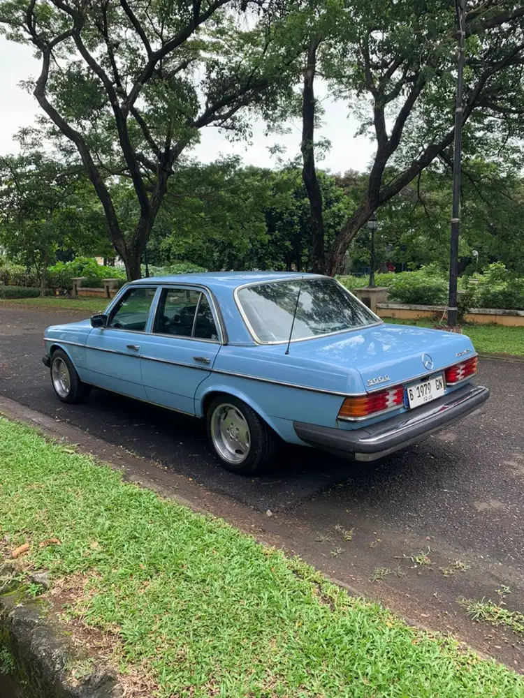 Mercy Tiger 300D W123