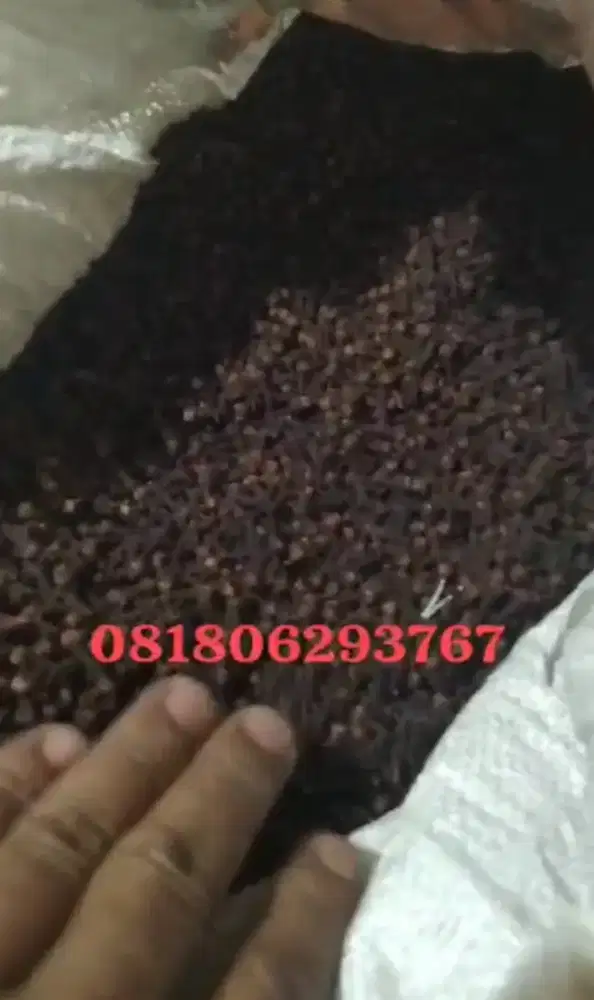 Cengkeh Kering th 2024