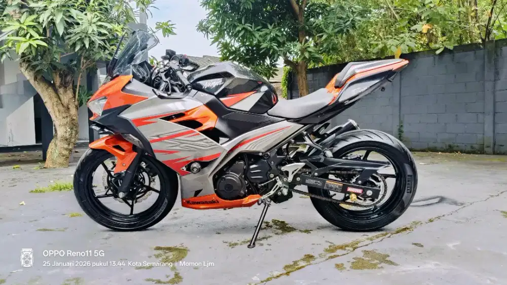 Kawasaki Ninja 250 Fi SE ABS 2018