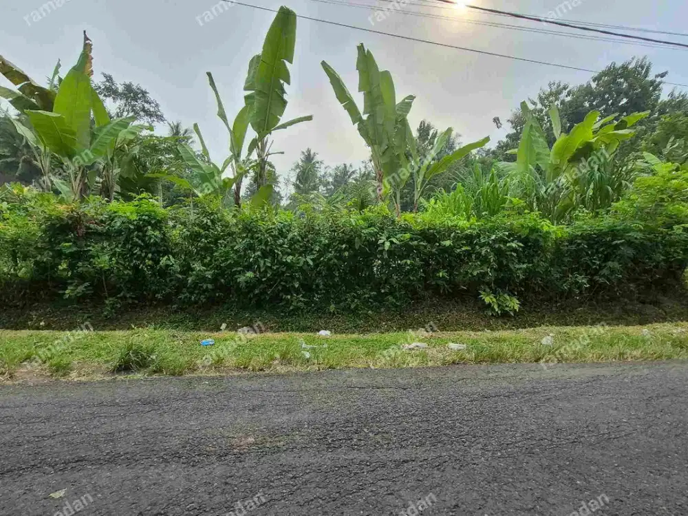 TANAH 5 ARE PINGGIR JALAN DI DESA BALUK DEKAT KOTA JEMBRANA