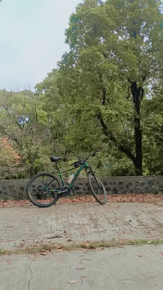 Sepeda pasifik mtb 27,5 vigilon 3.3