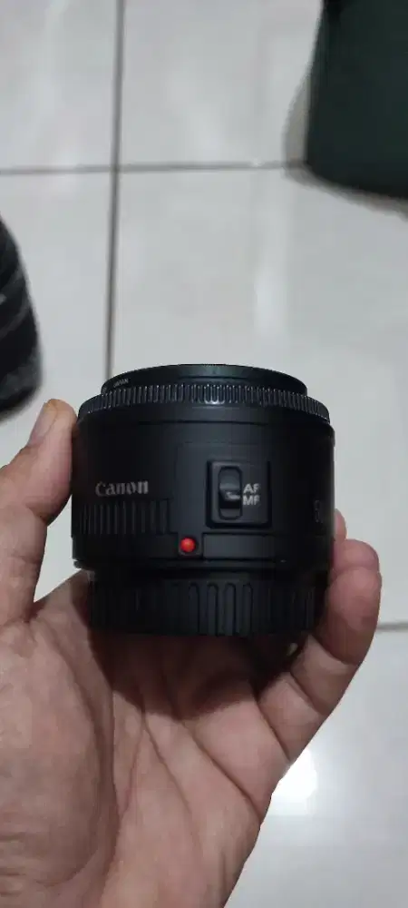 Lensa Fix Canon 50mm f/1.8  II – Tajam, Bokeh Cakep, Normal 100%