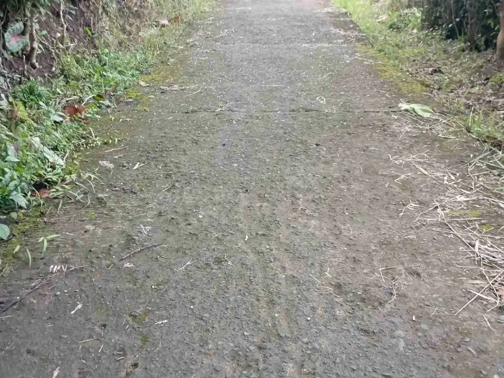 Tanah Murah Bonus bangunan dan 8 pohon durian sudah berbuah dekat kantor kecamatan Kalibawang