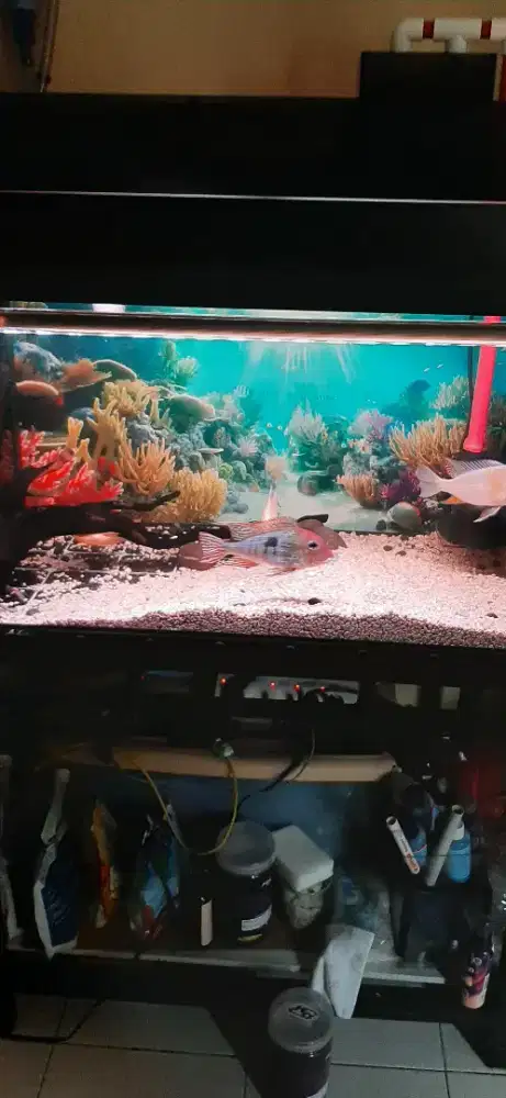 Dijual semua yang dgambar