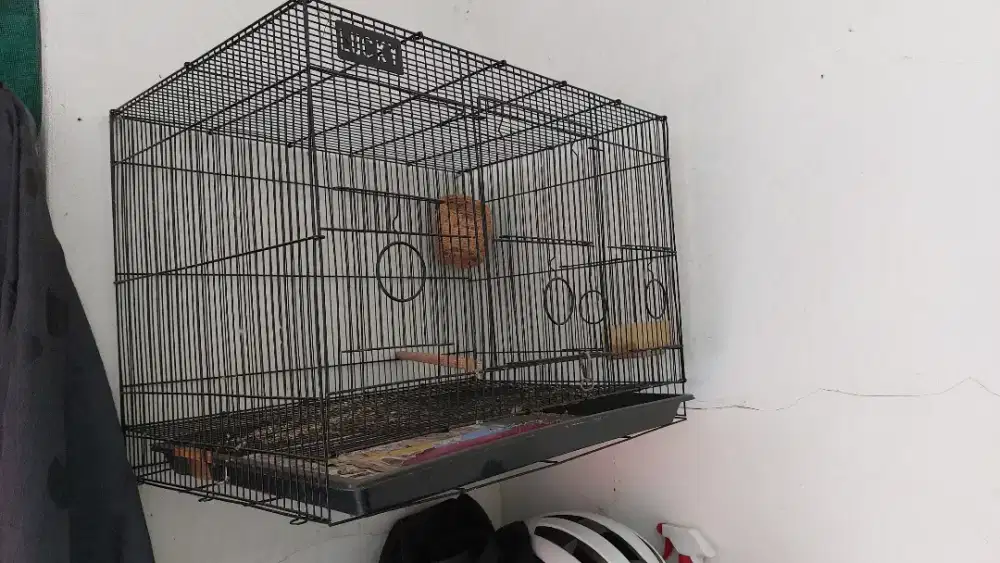 Kandang kotak besi
