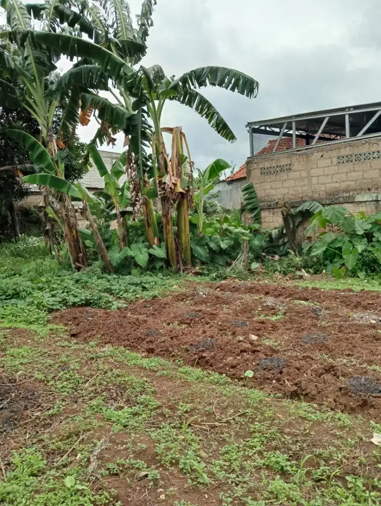 Jual tanah 350 SHM diharapan jaya cibinong