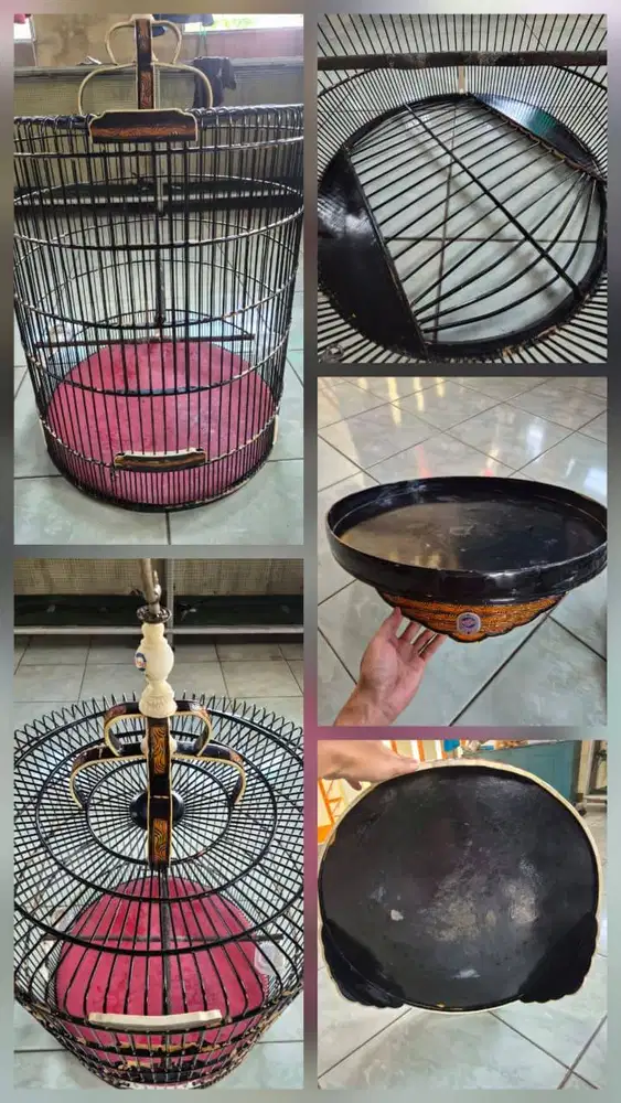 kandang murai ebod no1 sangkar murai no1 ebod kandang murai no 1 ebod