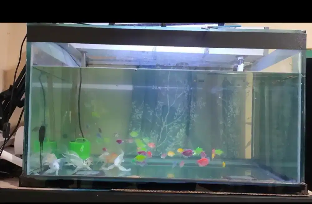 Aquarium 80x50x45 tebal 10 mili negoin saja