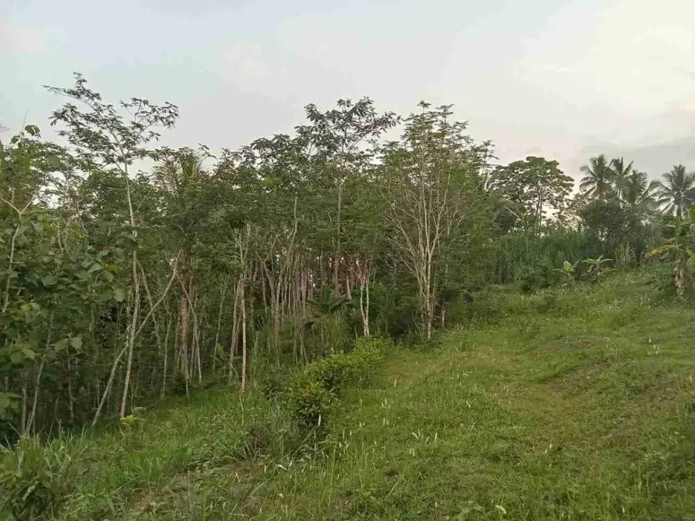 Tanah Murah View Merapi+ Mebabu dan Kota Yogyakarta