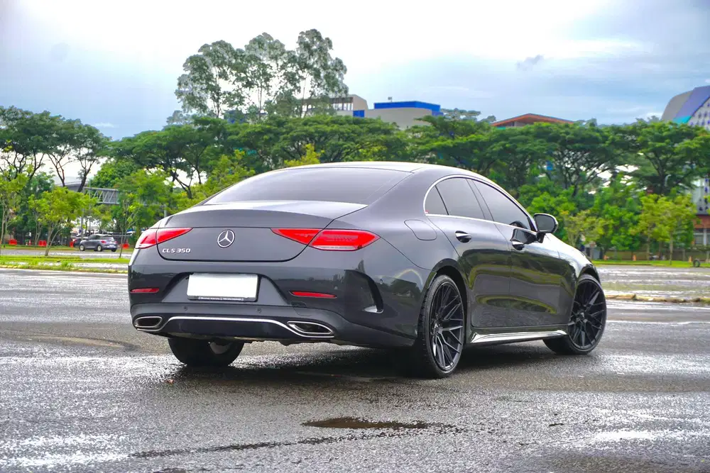 Mercedes-Benz CLS350 Coupe AMG C257 EQ-Boost 2018 / 2019