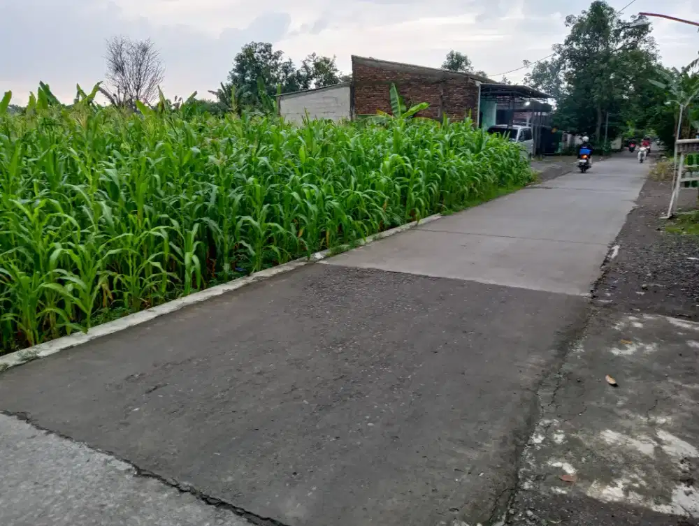 Tanah Strategis di Belakang Perum. Kharisma Meteseh