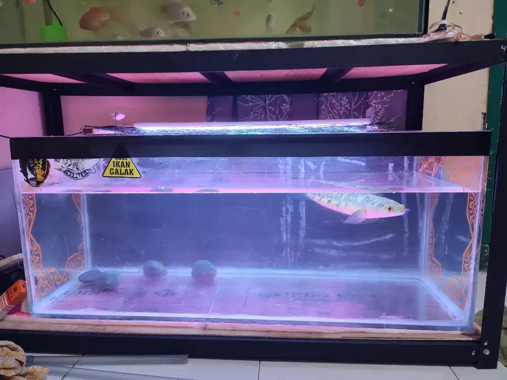 Aquarium 100*40*40 keliling 8 mm alas 12 mm