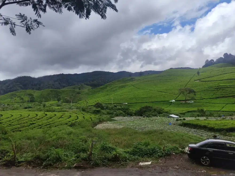 Dibutuhkan segera Art beberes jaga anak usia 7 tahun