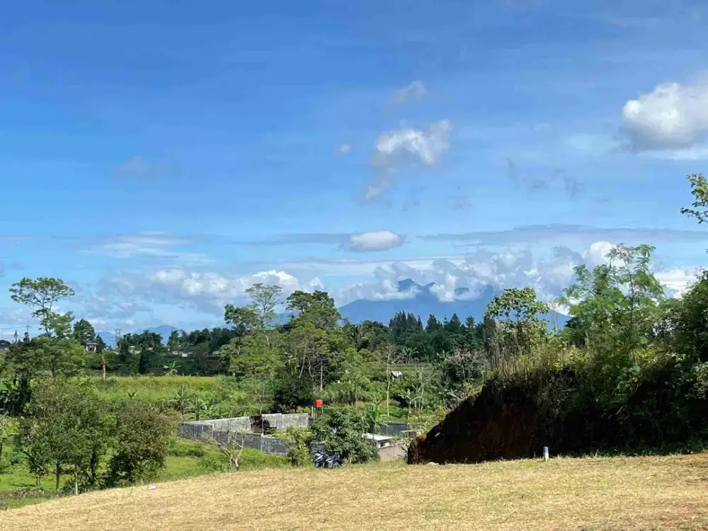 Tanah Cisarua Dijual Murah Siap Bangun