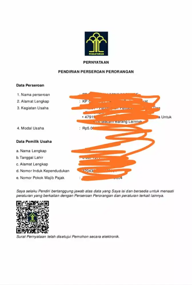 Pake Pembuatan Website + PT