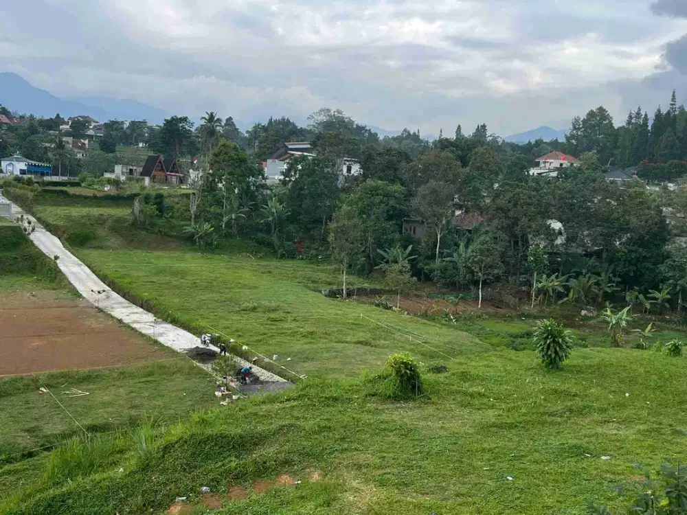 Tanah Murah Cisarua Di Jual Lokasi Strategis