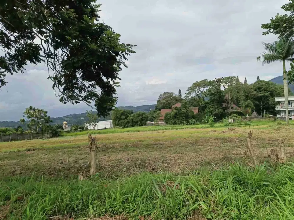 Tanah Cisarua Puncak Bogor Di Jual Murah Legalitas Aman