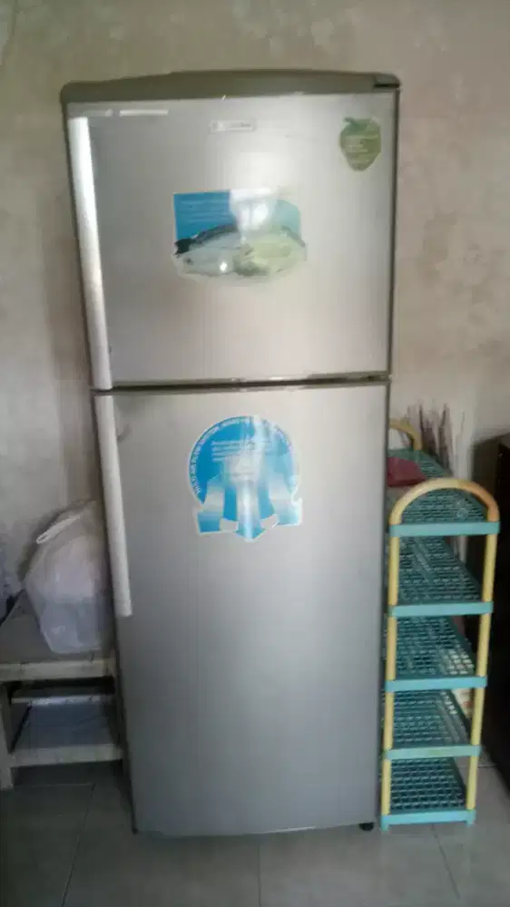 Kulkas electrolux 2 pintu