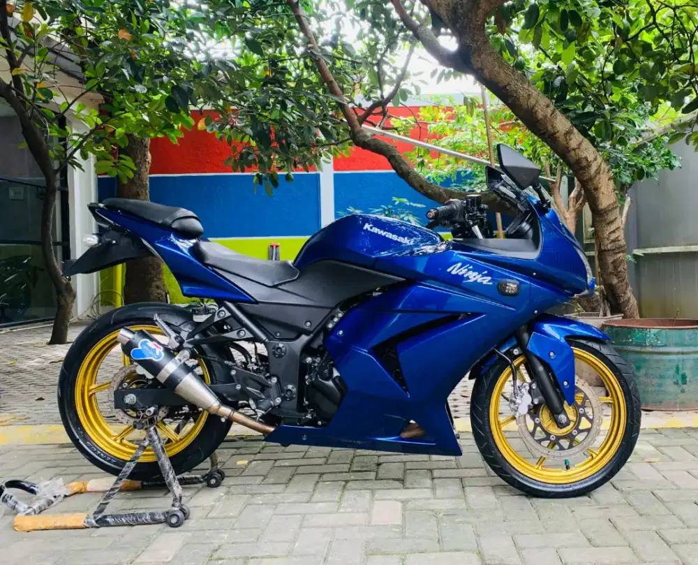 Kawasaki Ninja 250 karbu