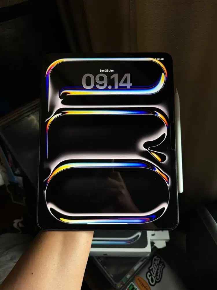 ipad pro 13inch M4 256gb wifi only + apple pencil pro