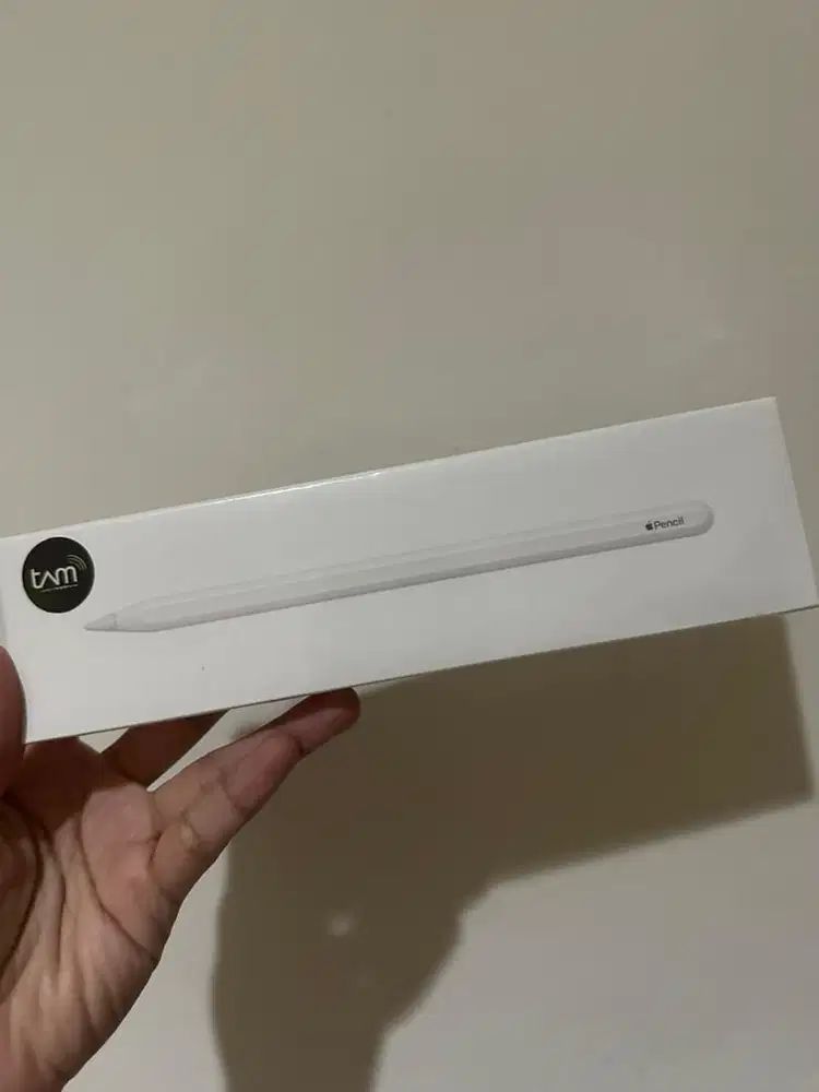 Apple Pencil (USB-C) Presisi Tinggi Magnetik Ibox