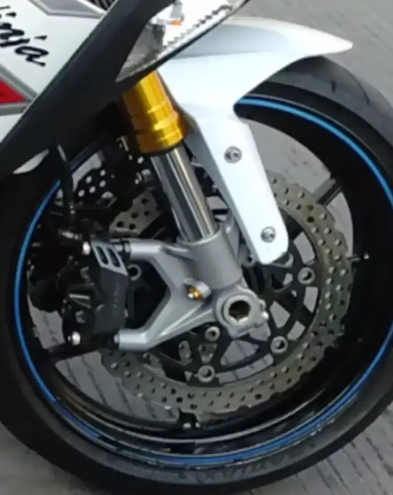 Upside-down Moge  Kawasaki ZX6R double disk