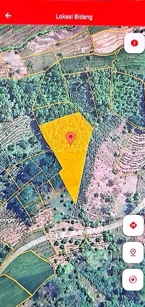 Kebun Jati Luas 2990 m2 Dekat Bandara Kediri Usia Lebih 15 Tahu