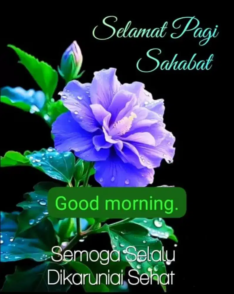 Pegawai olshop admin dan bisa packing