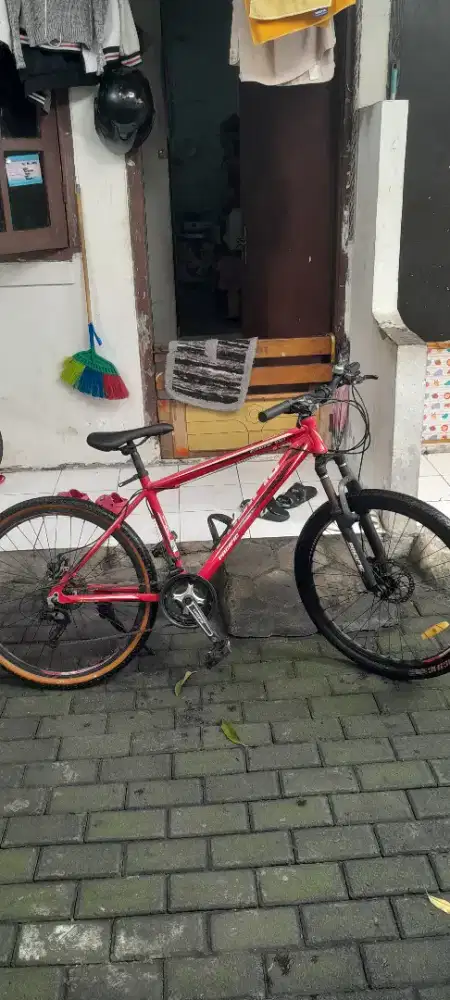 Pacific exotic 100 alloy MTB