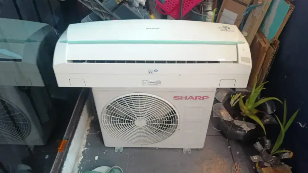 AC Sharp R 32 1/2 pk