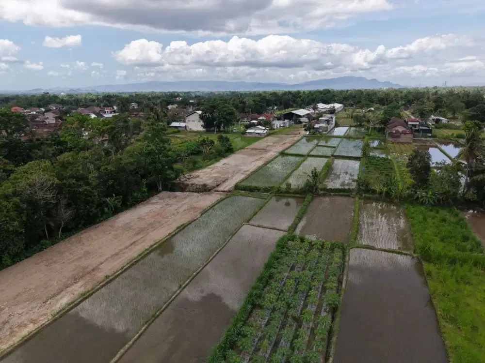 Tanah Area Palagan SHM 400 Meter Jejamuran Resto