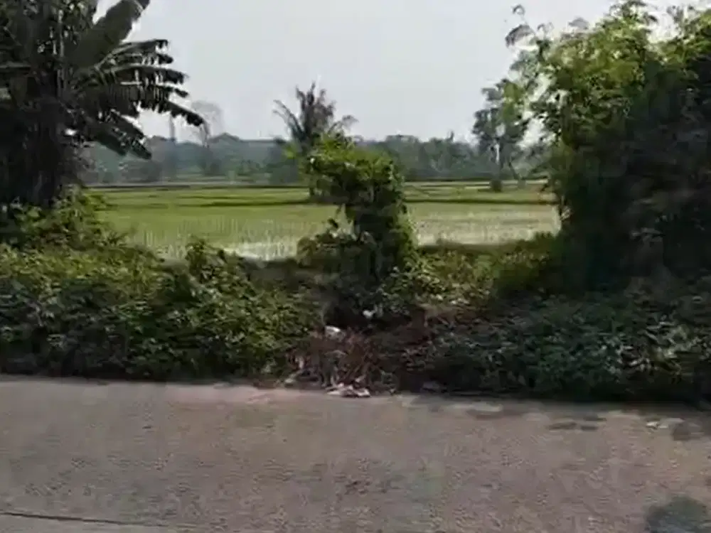 ijual Tanah Luas Tobat Balaraja – Akses Kontainer, 1 JT/M Nego