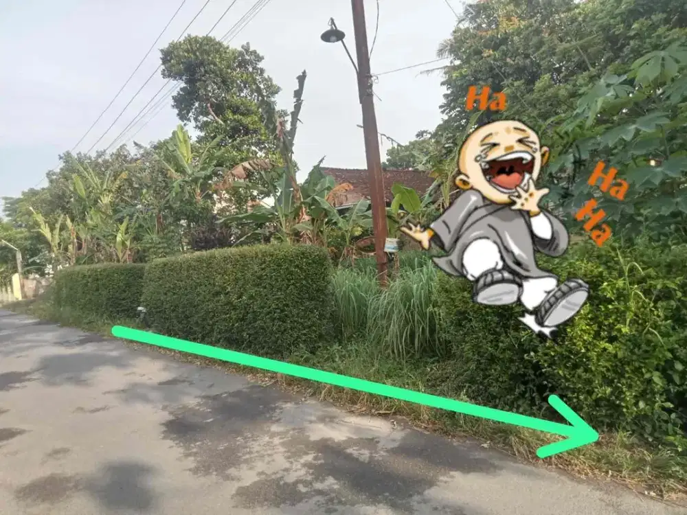 Dijual Tanah Pekarangan di Jamblangan Margomulyo Seyegan