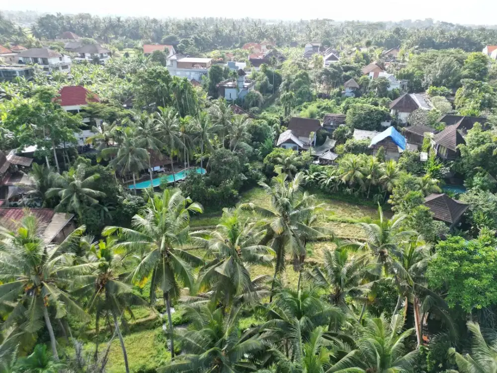Di jual Lahan tanah kosong dekat dengan resort sankara loh tunduh Ubud Gianyar
