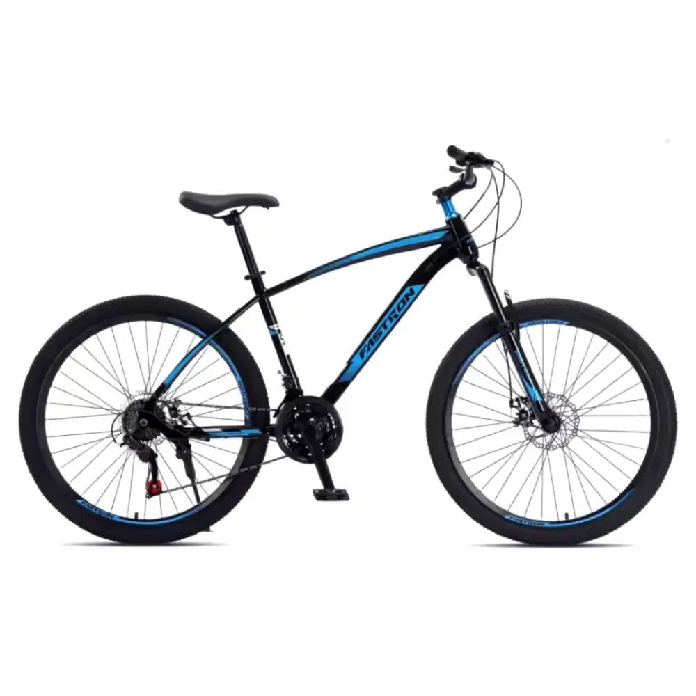 Sepeda Pacifik bike sepeda gunung MTB Fastron F-260 DK