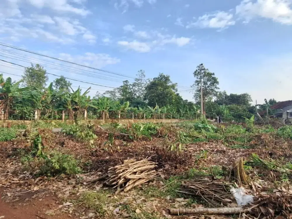 Tanah Murah SHM Cisauk, Strategis Belakang HIERA BSD