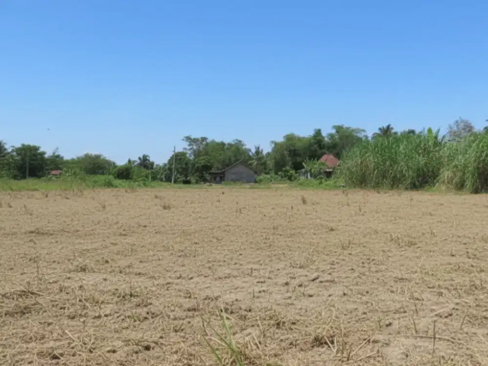 Tanah Sleman Siap Bangun, Harga Mulai 1,6 Juta/m²