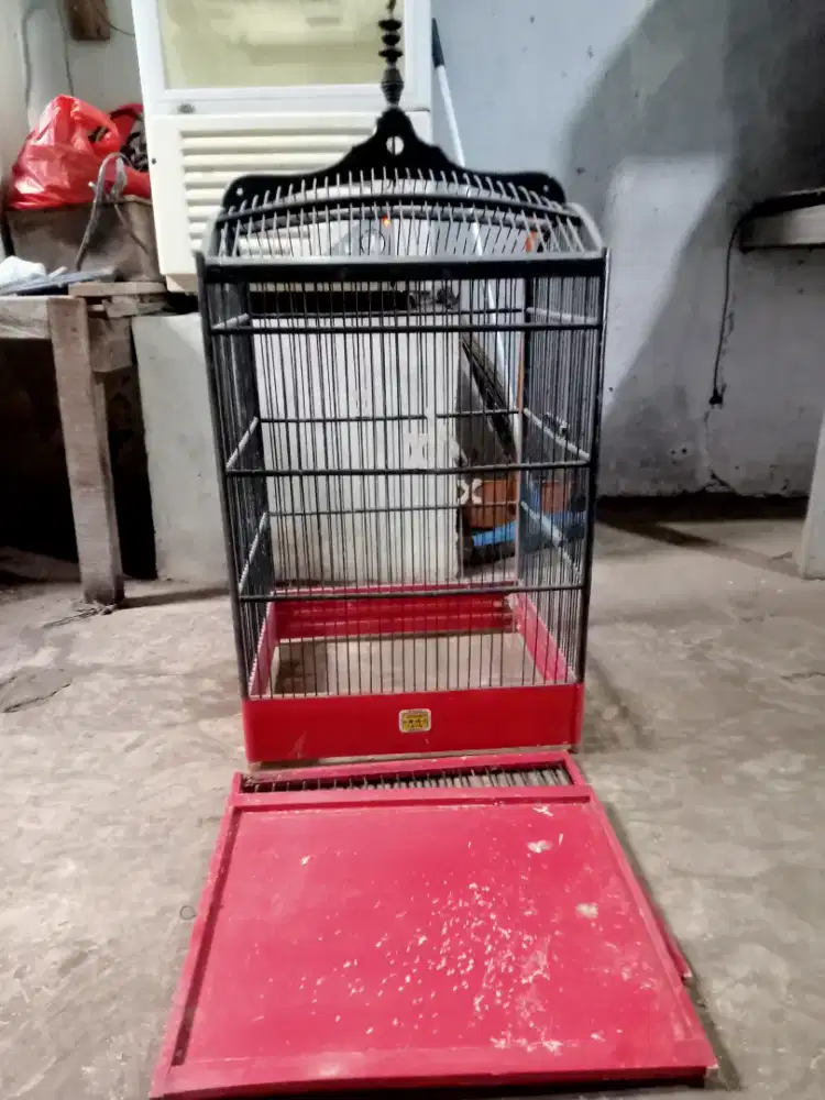 Kandang bermek minus