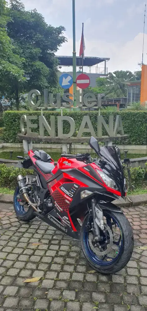 KAWASAKI NINJA 250 FI 2017 LOW KM