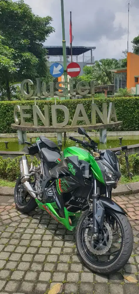 Kawasaki Ninja Naked z250 FI 2016