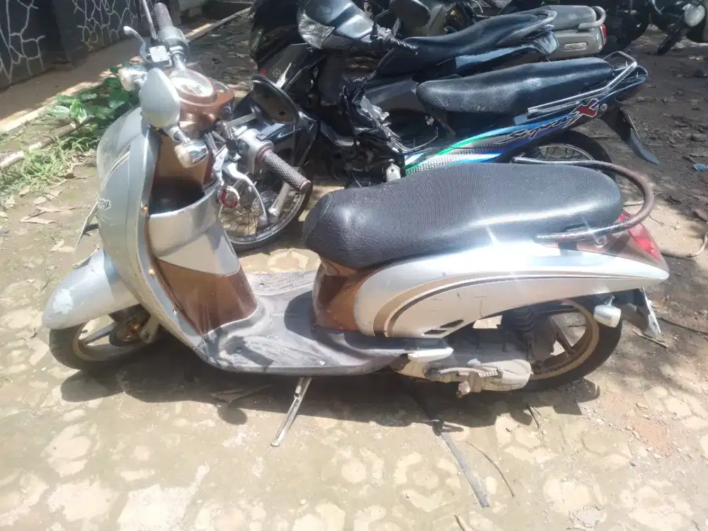 Honda scoopy 2010