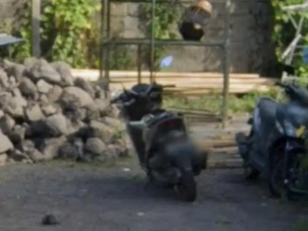 JUAL TANAH LANGKA SANUR