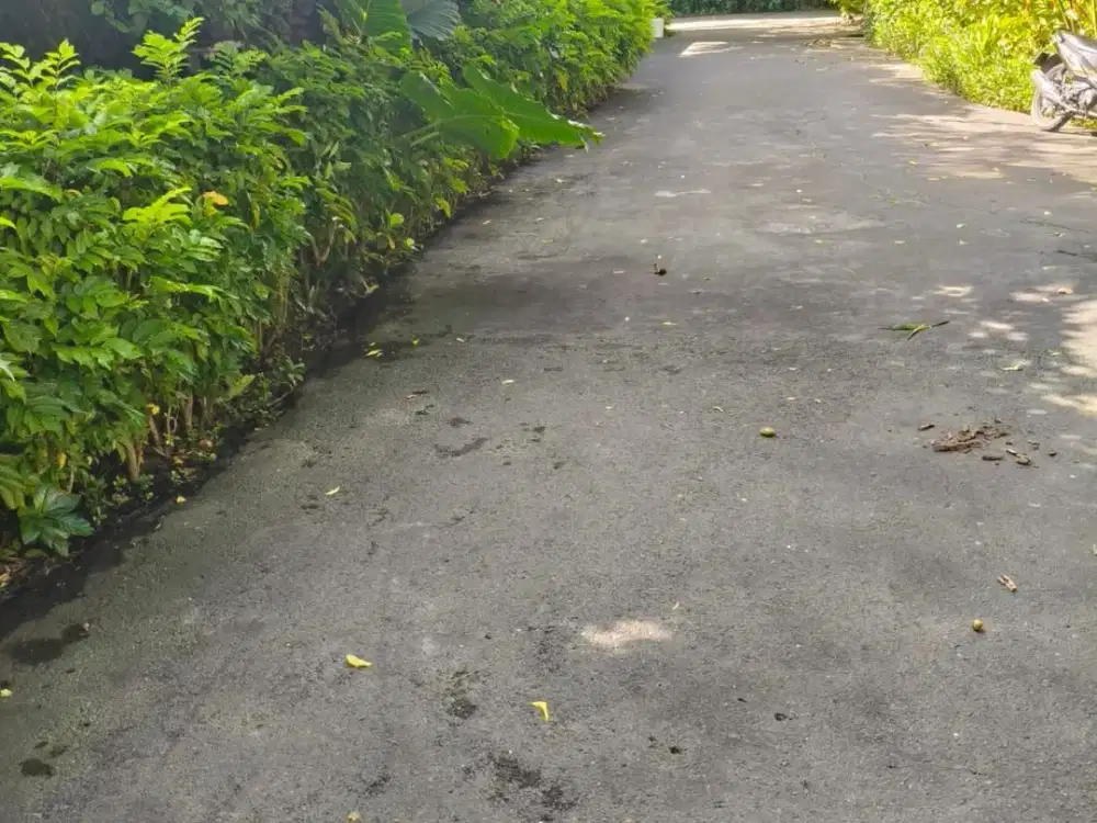 JUAL TANAH PREMIUM SANUR