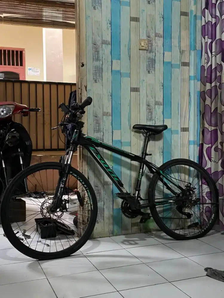 Forsale exotic edisi bu