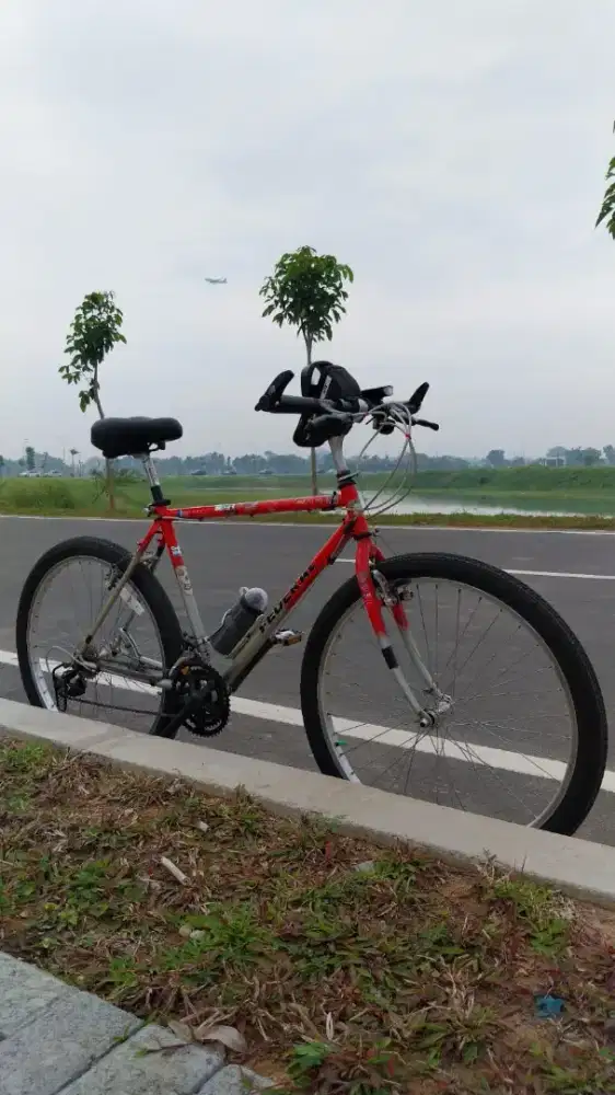 Sepeda federal bob cat