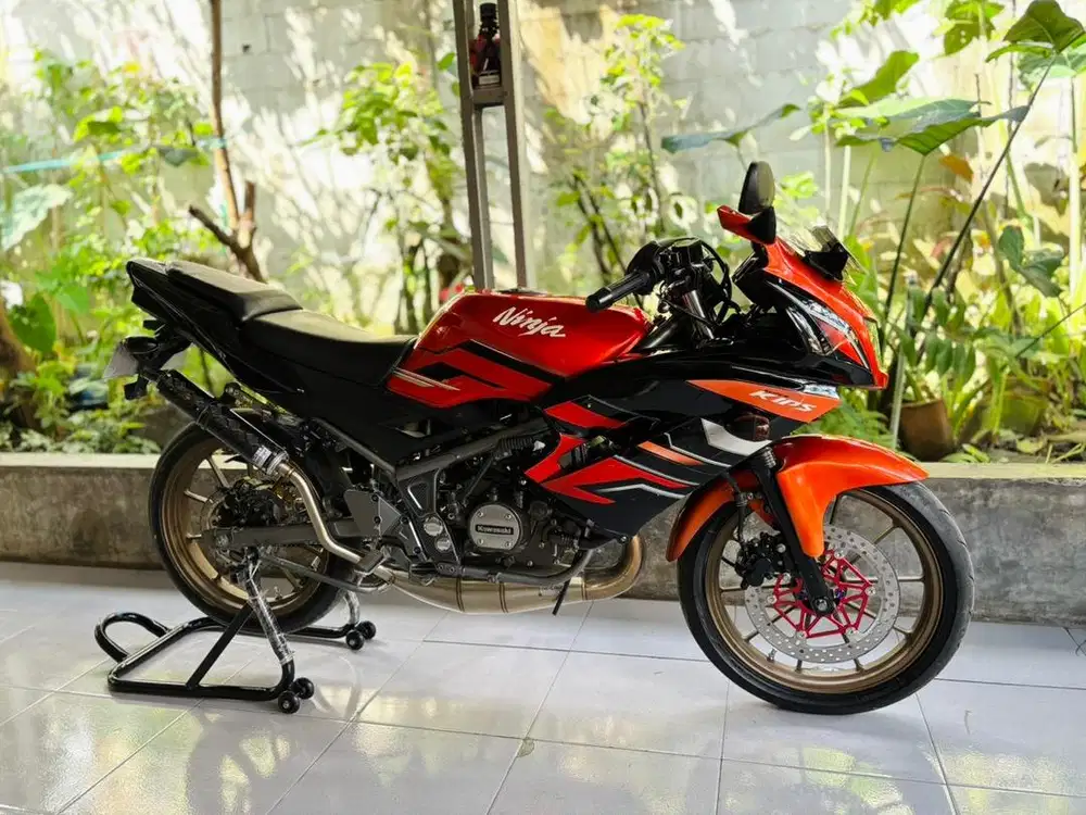 Ninja RR Last Edition 2015 Orange