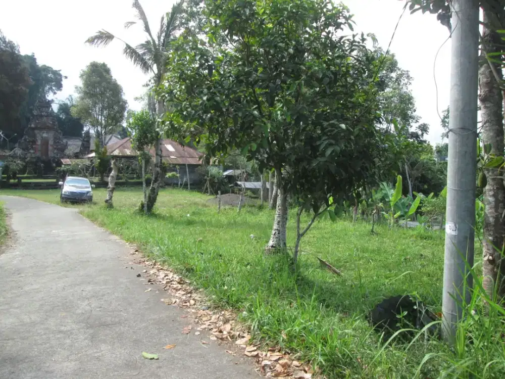 DIJUAL 1 BIDANG TANAH – KABUPATEN GIANYAR