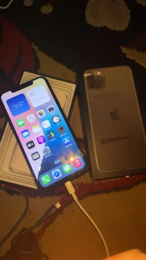 iPhone 11 Pro Max 64 GB Inter