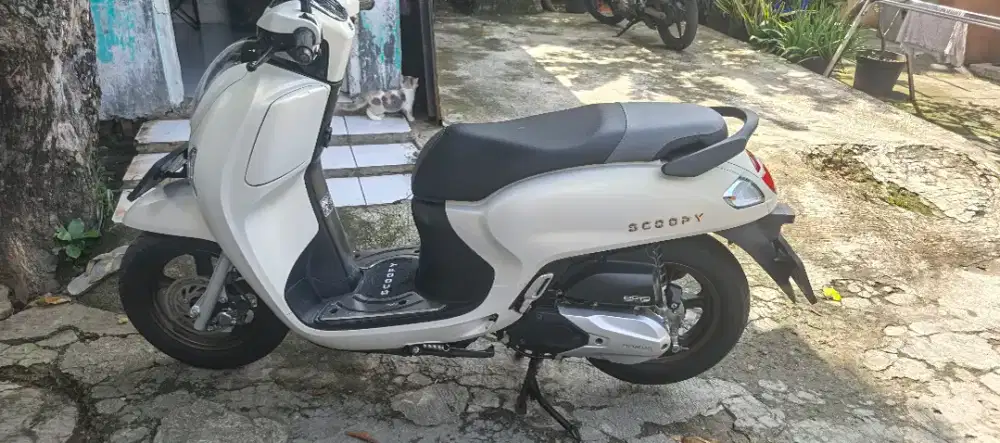 Honda scoopy Prestige (keyless) 2025